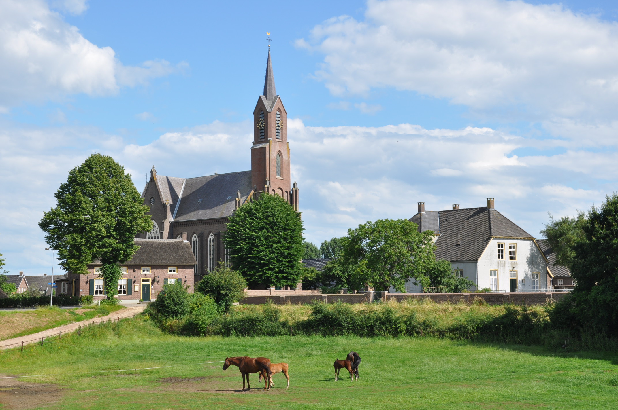 Schoonmaakservice in Maasdriel