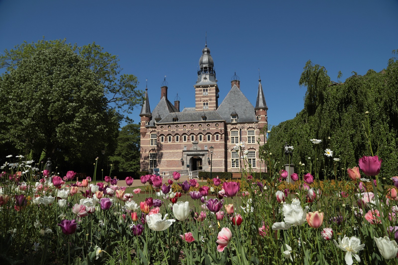 Schoonmaakservice in Wijchen
